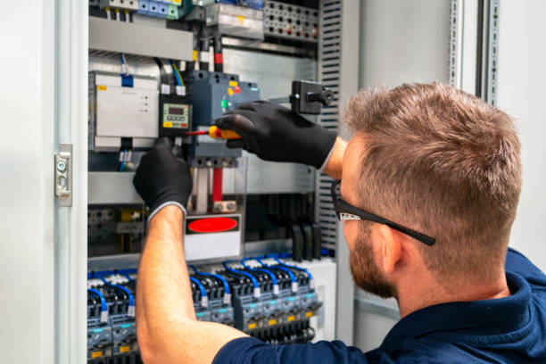 Best Generator Installation Services  in Vley, AL