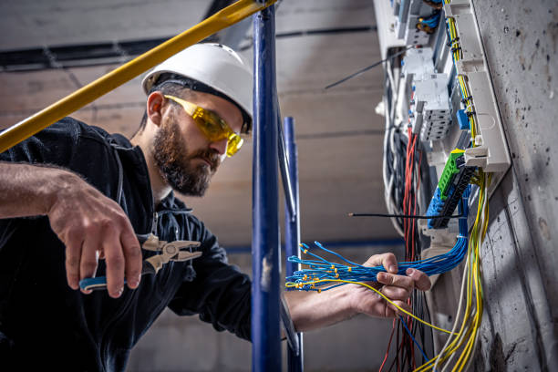 Best Electric Panel Repair  in Vley, AL